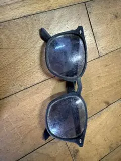琵琶湖で拾ったRay Ban