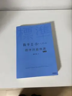 標準問題精巧II・B