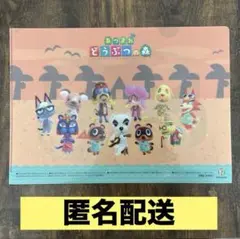 【非売品】あつまれどうぶつの森 クリアファイル