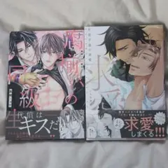 ぶ厚めBL漫画2冊セット