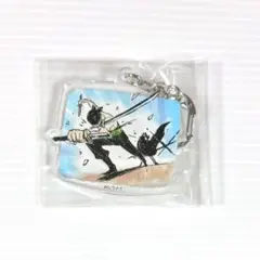 ONE PIECE グラフアートデザイン アクリルキーホルダー ゾロ&ミホーク