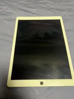 iPad pro1