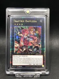 北米版！超絶激レア！ YuGiOh Duel Terminal 5ABOX 北米版！超絶激レア！ YuGiOh Duel Terminal 5ABOX