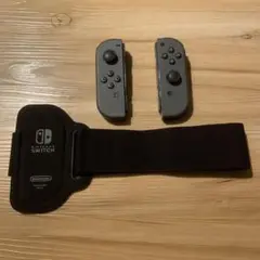 Switch ジョイコン レッグバンド