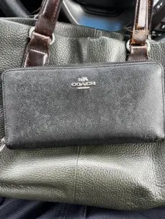 Item thumbnail for item 130f2389-1137-4342-b58b-f210c2385ce1