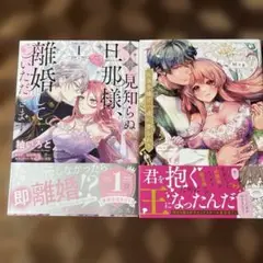没落令嬢は一途に娶られる～「君を抱くために王になったんだ」拝啓見知らぬ2冊