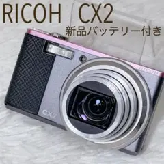 Item thumbnail for item 3cdefe61-909d-4c78-a8f7-ae69d80a48da