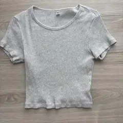 【UNIQLO】ユニクロ コットンリブクルーネッククロップドT （半袖）M