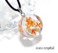 Item thumbnail for item 47cf3950-0e8f-4aea-a7cf-21f89a910f63