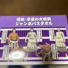 昭和・平成の大横綱 ジャンボバスタオル　非売品