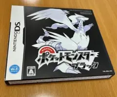 ニンテンドー　ポケットモンスター ブラック　DS 箱あり　ソフト