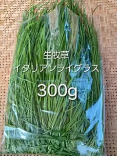 Item thumbnail for item 99dc8b8c-44ef-456c-bd20-6c5c01d8d8cd