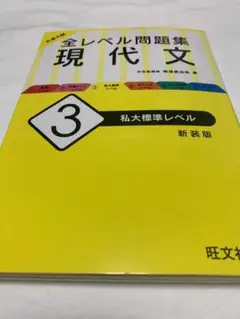 大学入試 全レベル問題集 現代文 3 私大標準レベル