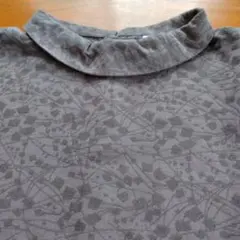 Item thumbnail for item 8cb17c22-4367-41c3-9ffd-1ffbec7bf436