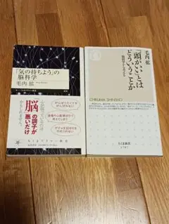 「頭がいい」とはどういうことか　「気の持ちよう」の脳科学