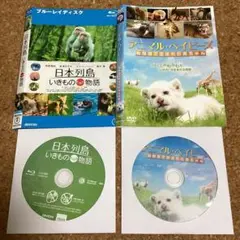 Item thumbnail for item bc3d409d-85e3-4471-b1d3-cb16794cf97f