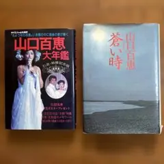 山口百恵 大年鑑 & 蒼い時　2冊セット