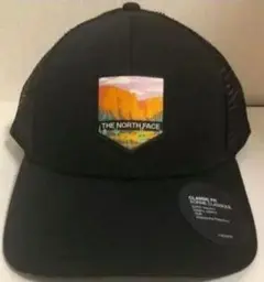 Item thumbnail for item 96bbf79c-a905-4df1-9d30-dae3fb0b07be