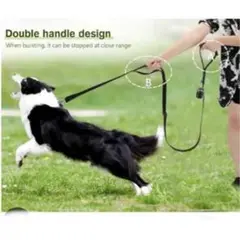 Item thumbnail for item 6738d6ea-1643-47fd-9eff-6662edc6d12c