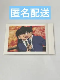 名探偵コナン 工藤新一 毛利蘭 修学旅行 ぱしゃこれ