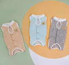 Item thumbnail for item f2920c63-1653-4cbc-97c4-deab35d19397