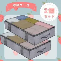 収納ケース　衣装ケース　不織布　洋服　布団　クローゼット　ベッド下　2個セット