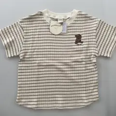テータテート　くま　ボーダー　ブラウン　半袖　リブTシャツ　100
