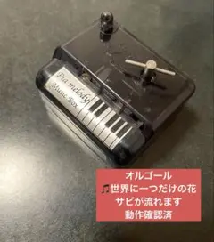 世界に一つだけの花　オルゴール　SMAP 動作確認済