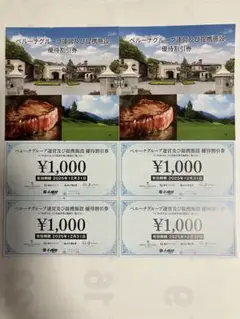 【匿名配送】ベルーナ 株主優待 施設優待割引券 4,000円分