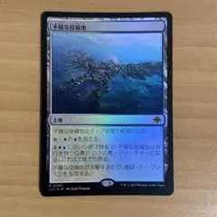 不穏な投錨地foil