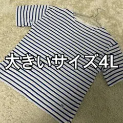 大きいサイズ 4L 【アーノルドパーマー】ボーダーTシャツ ネイビー×ホワイト