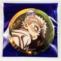 無限城編 ティザー期 ランダム 57mm 缶バッジ 不死川実弥