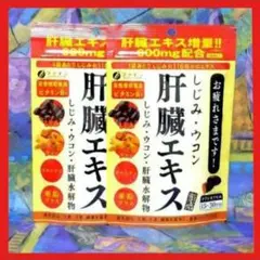 ファイン 金のしじみウコン肝臓エキス 630mg 90粒×2袋 合計