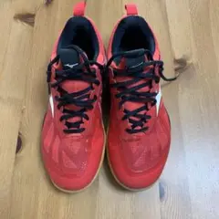 Mizunoバドミントンシューズ wave fang zero24、5cm