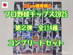 【専用】プロ野球チップス2025 第2弾 全114種コンプリートセット