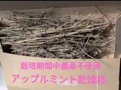 Item thumbnail for item 3b2790ee-88c3-45d0-b25b-79b1a2a9918f