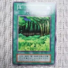 1999年初期STARTER BOX収録『森』25年前（25周年25th）年代物