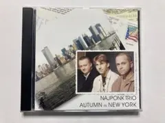 Najponk trio Autumn In New York