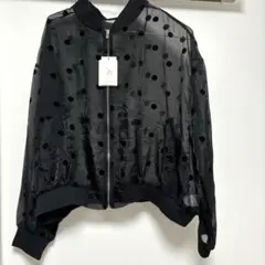 Item thumbnail for item 9e4ba533-9705-4451-bce0-eb9c8559c4d2