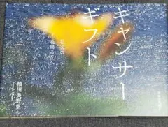 キャンサーギフト 礼文の花降る丘へ
