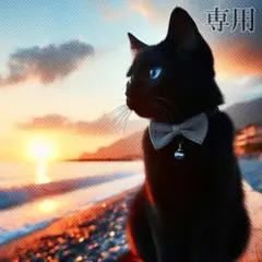 専用おまとめページ