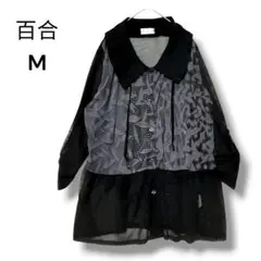 Item thumbnail for item 808f9465-d5f4-4433-a1c8-87caa478bf05