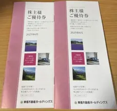東急不動産　株主優待券 2冊