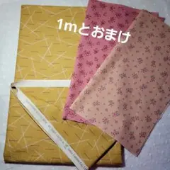 斉藤謡子センテナリーコレクション 1mとこうの早苗さんはぎれ生地 ２枚