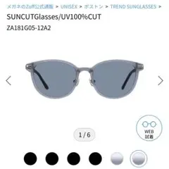 ZoffSUNCUTGlasses/UV100%CUTZA181G05-12A2