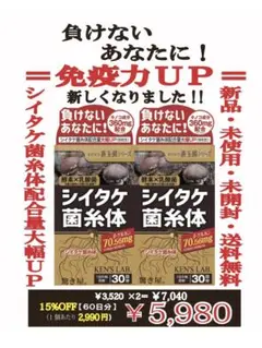 シイタケ菌糸体×3個