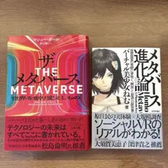 メタバース進化論、ザ・メタバース 2冊セット