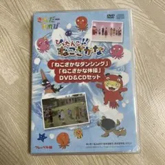 きんだーてれび ぴったんこ!ねこざかな DVD レンタル版 全7巻 きんだーてれび ぴったんこ！ねこざかな（4）: 商品カテゴリー