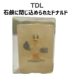 【新品未使用】TDL ドナルドダック 石鹸
