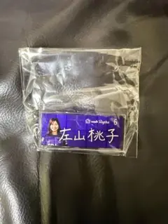 サンフレッチェ 広島 レジーナ ガチャ 6 左山桃子 アクリルキーホルダー 新品